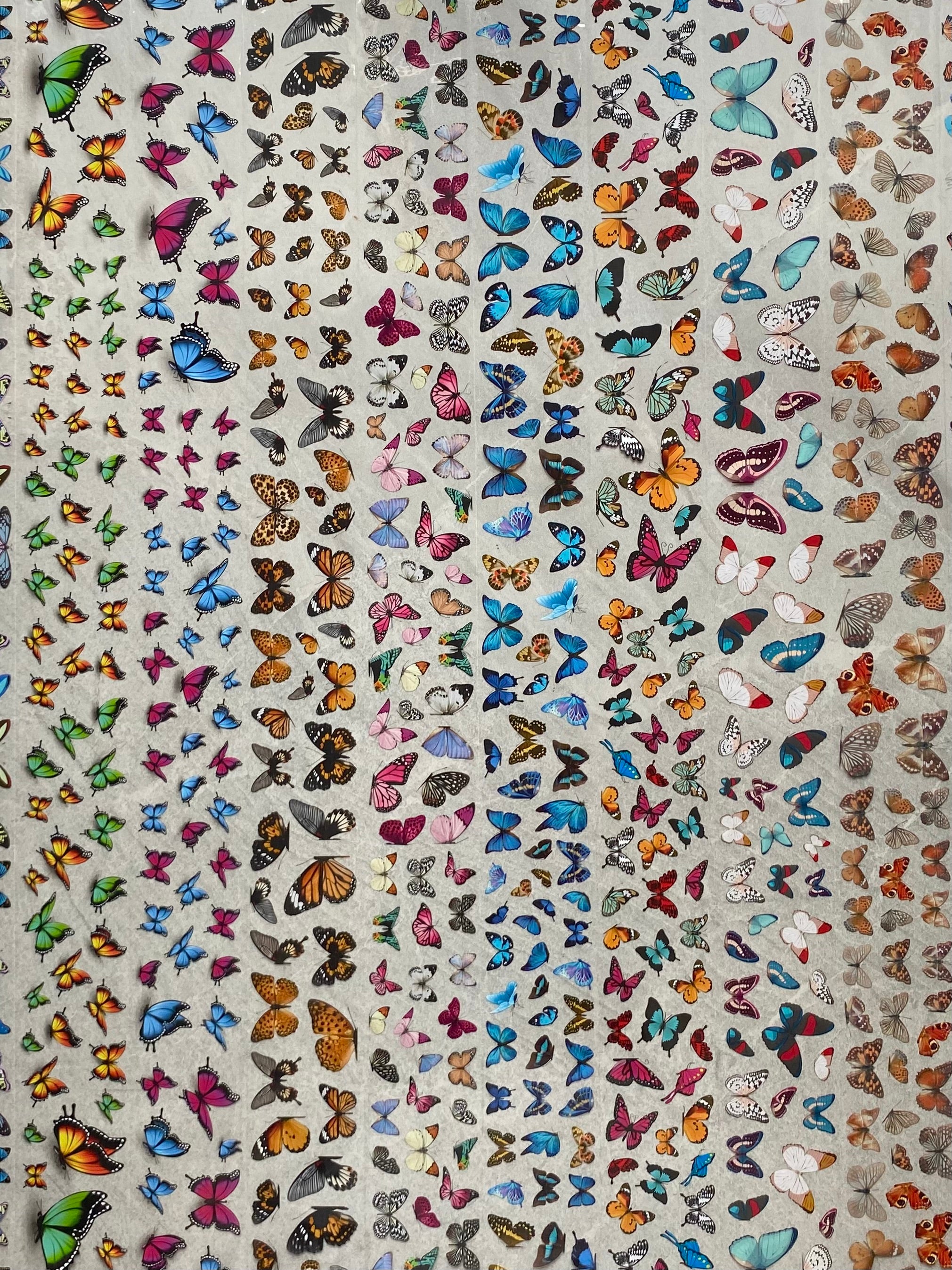 Butterfly Transfer Foils