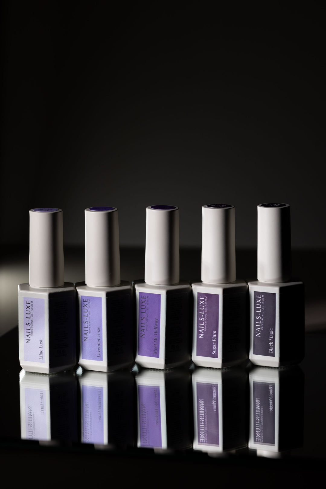 PURPLE COLOUR COLLECTION
