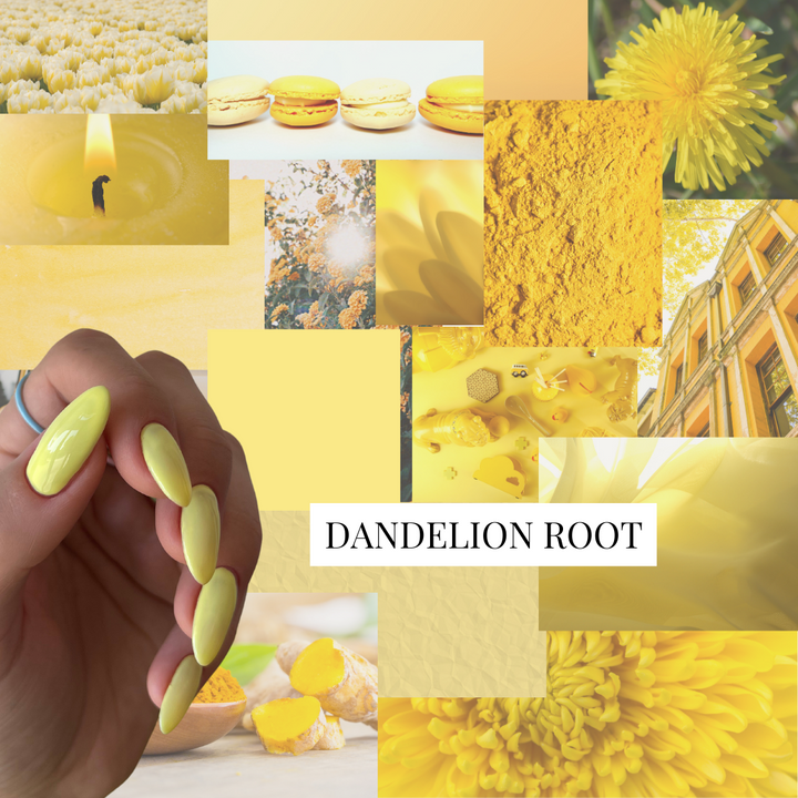Art Gel - Dandelion Root