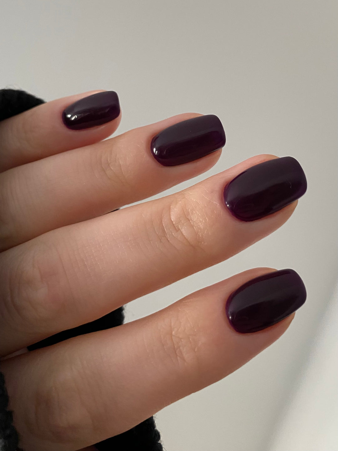 PURPLE COLOUR COLLECTION