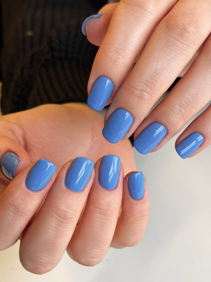 BLUE COLOUR COLLECTION