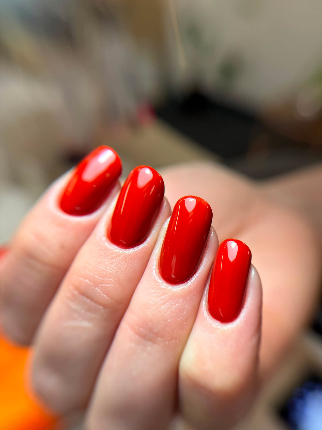 AUTUMN 2026 Colour Collection #2
