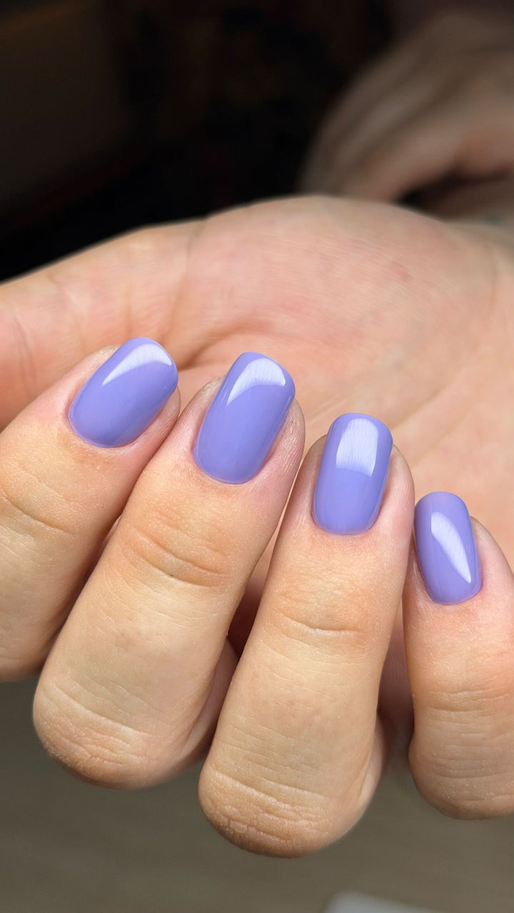 PURPLE COLOUR COLLECTION