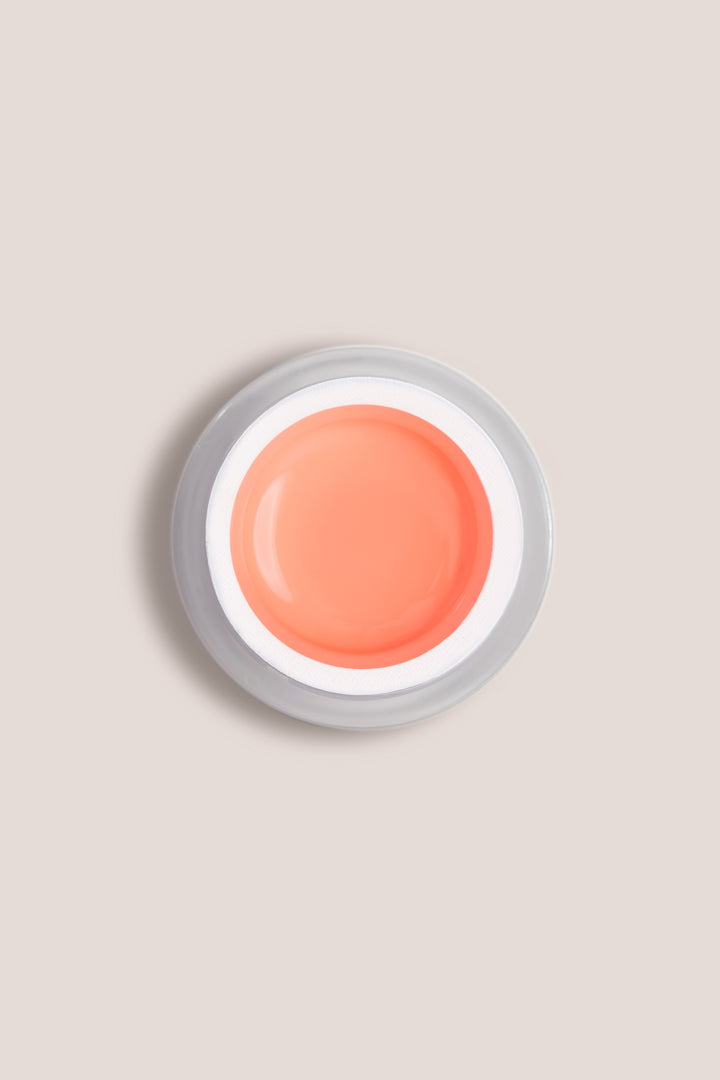 Art Gel - Coral Reef