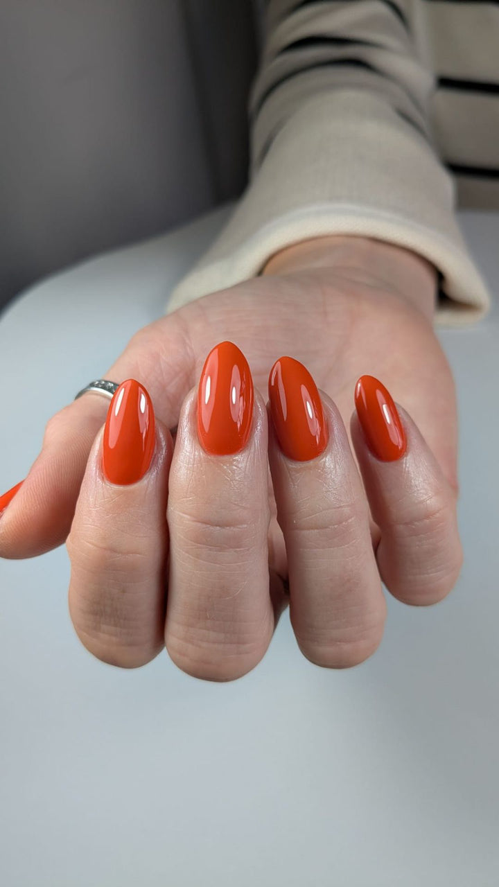 YELLOW & ORANGE COLOUR COLLECTION