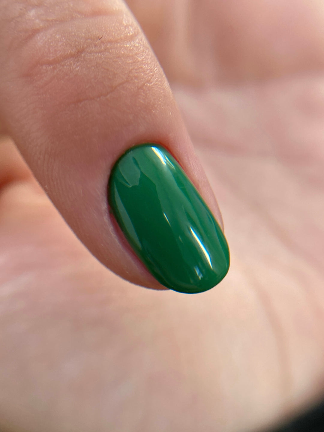 GREEN COLOUR COLLECTION