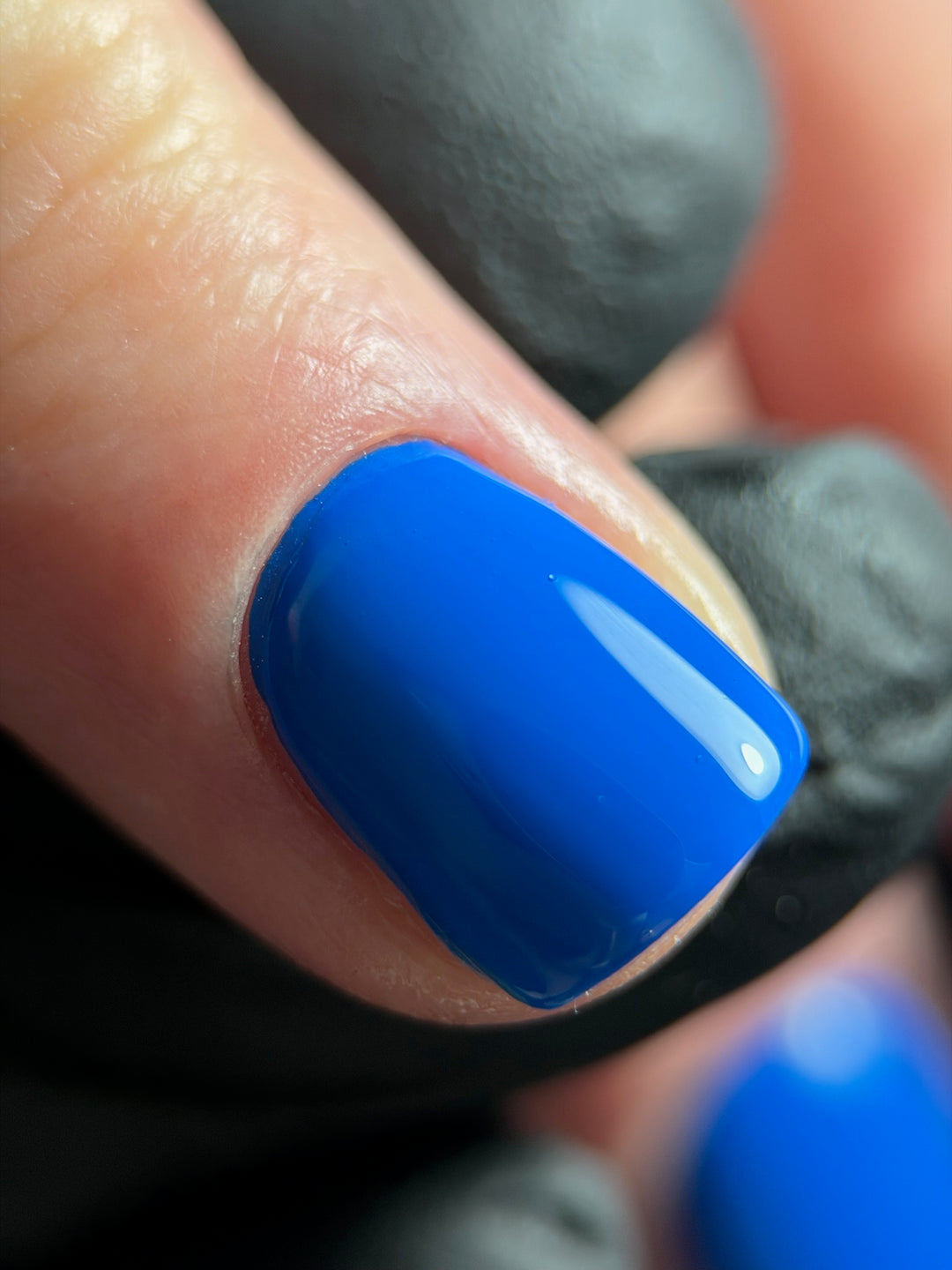 BLUE COLOUR COLLECTION