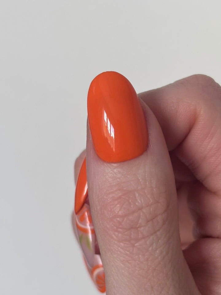 YELLOW & ORANGE COLOUR COLLECTION