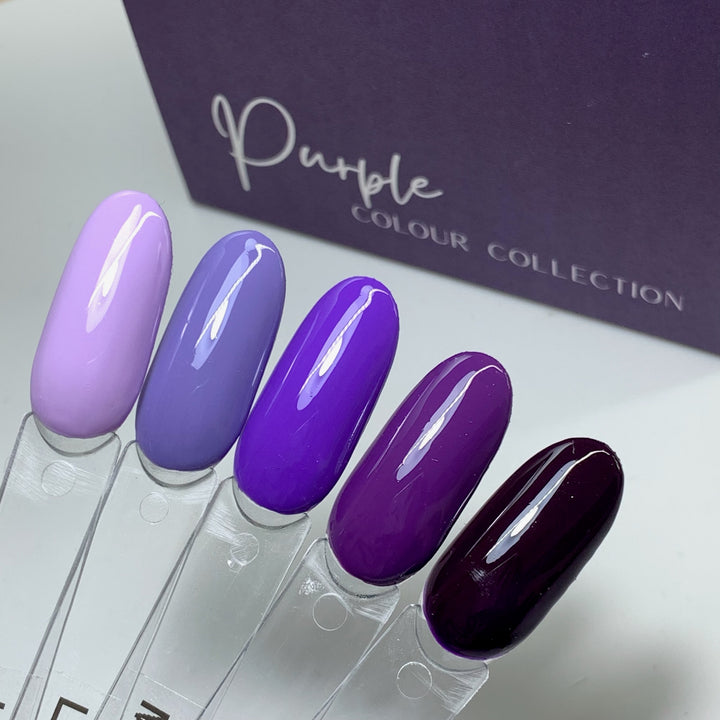PURPLE COLOUR COLLECTION