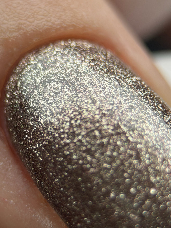 AUTUMN 2026 Colour Collection #1