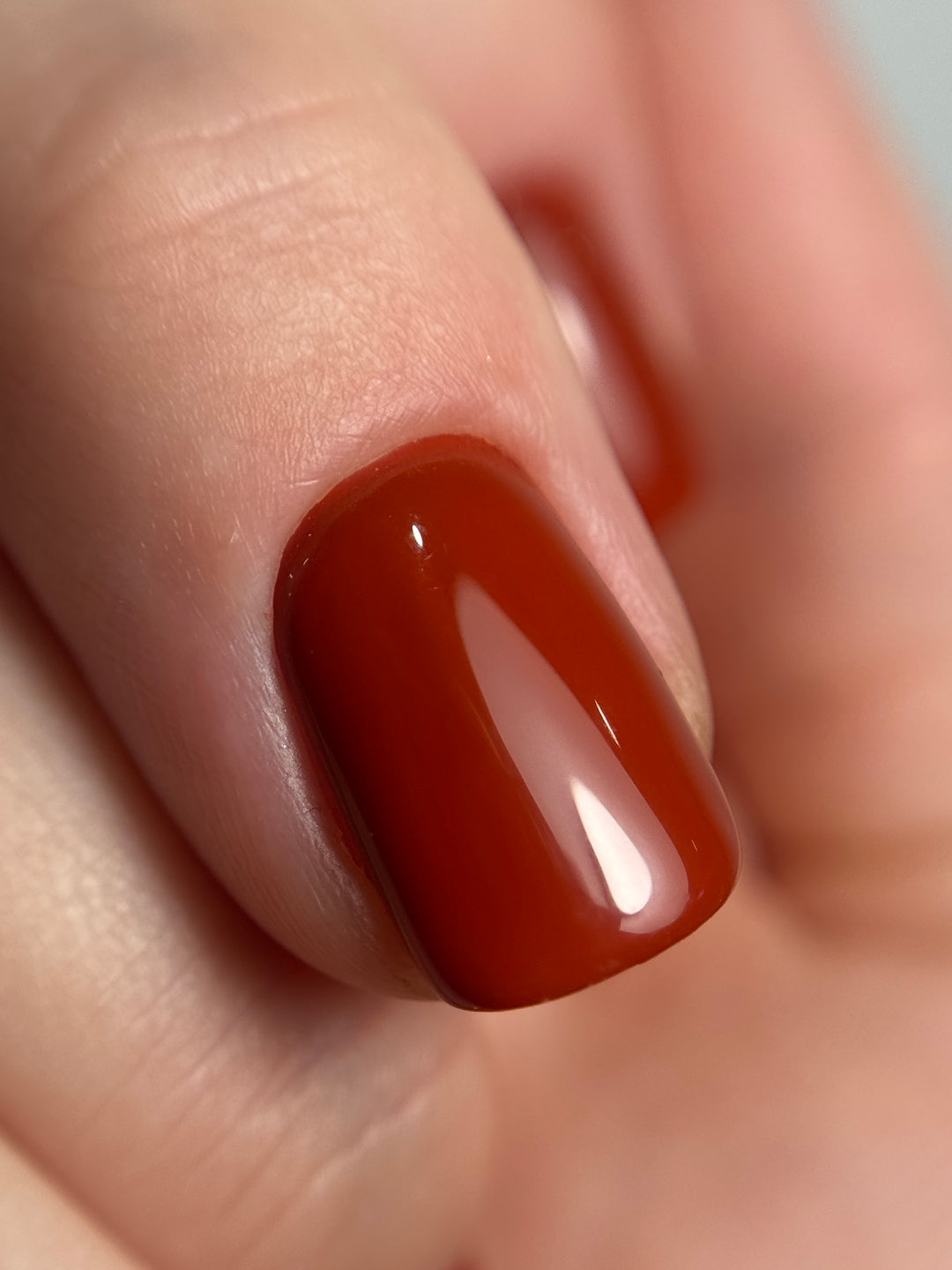 AUTUMN 2026 Colour Collection #2