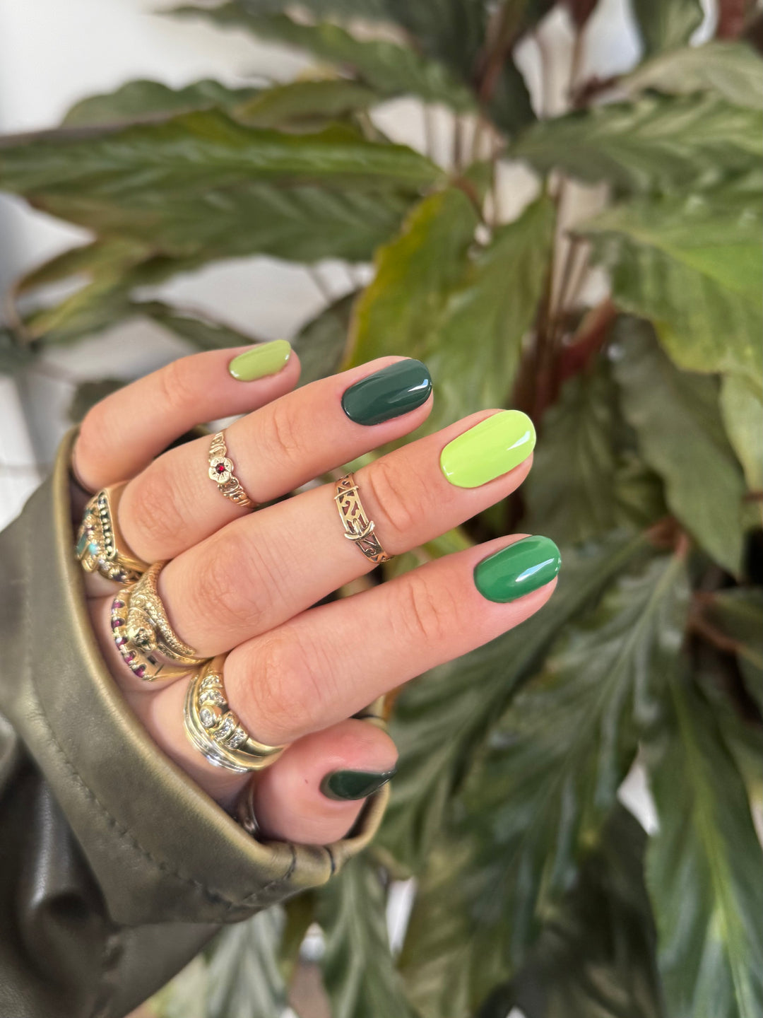 GREEN COLOUR COLLECTION