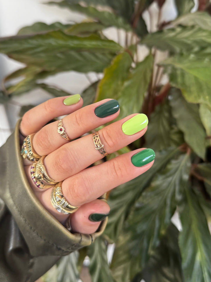 GREEN COLOUR COLLECTION