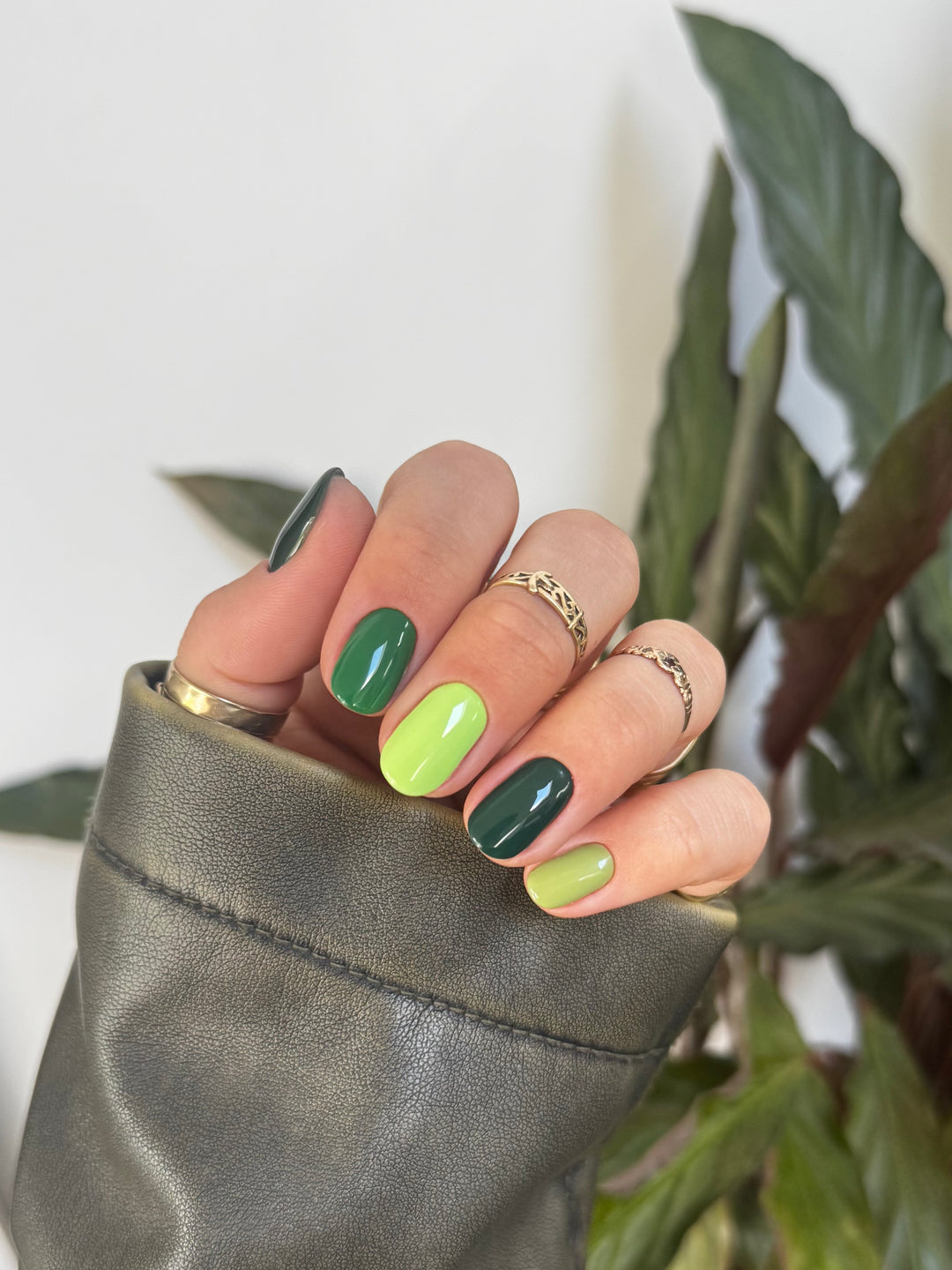 GREEN COLOUR COLLECTION