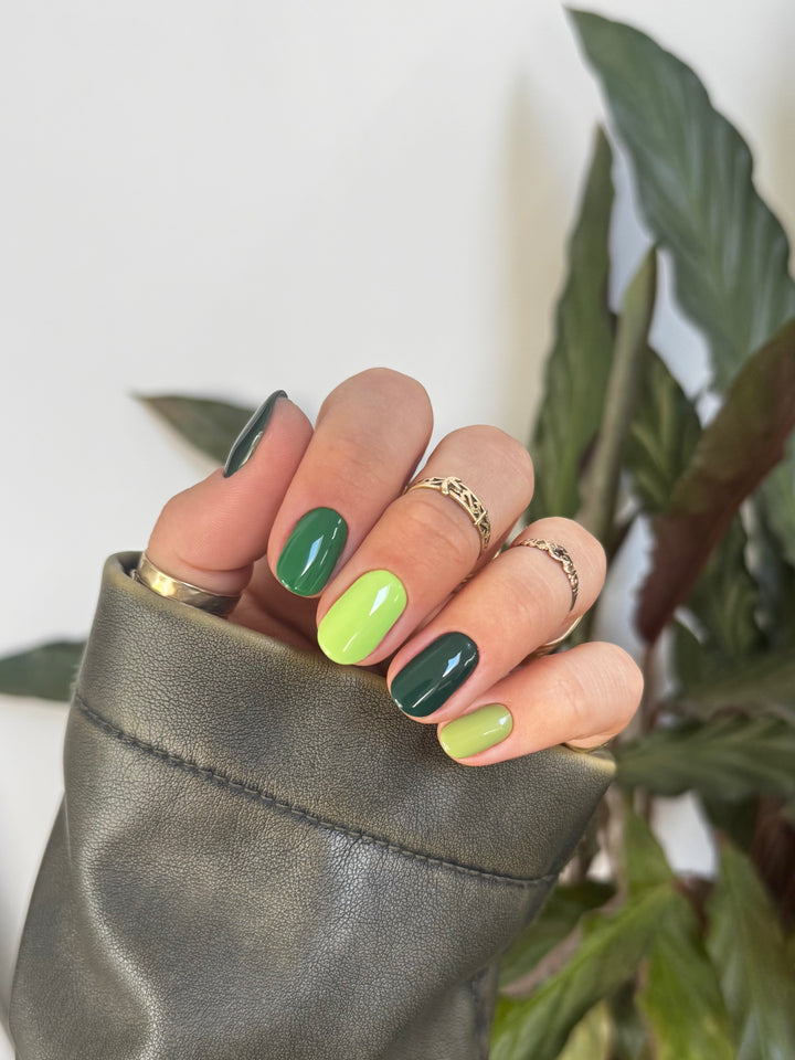 GREEN COLOUR COLLECTION