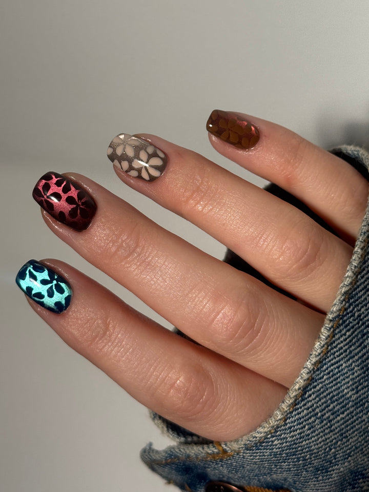 Taurus Cat Eye Powder