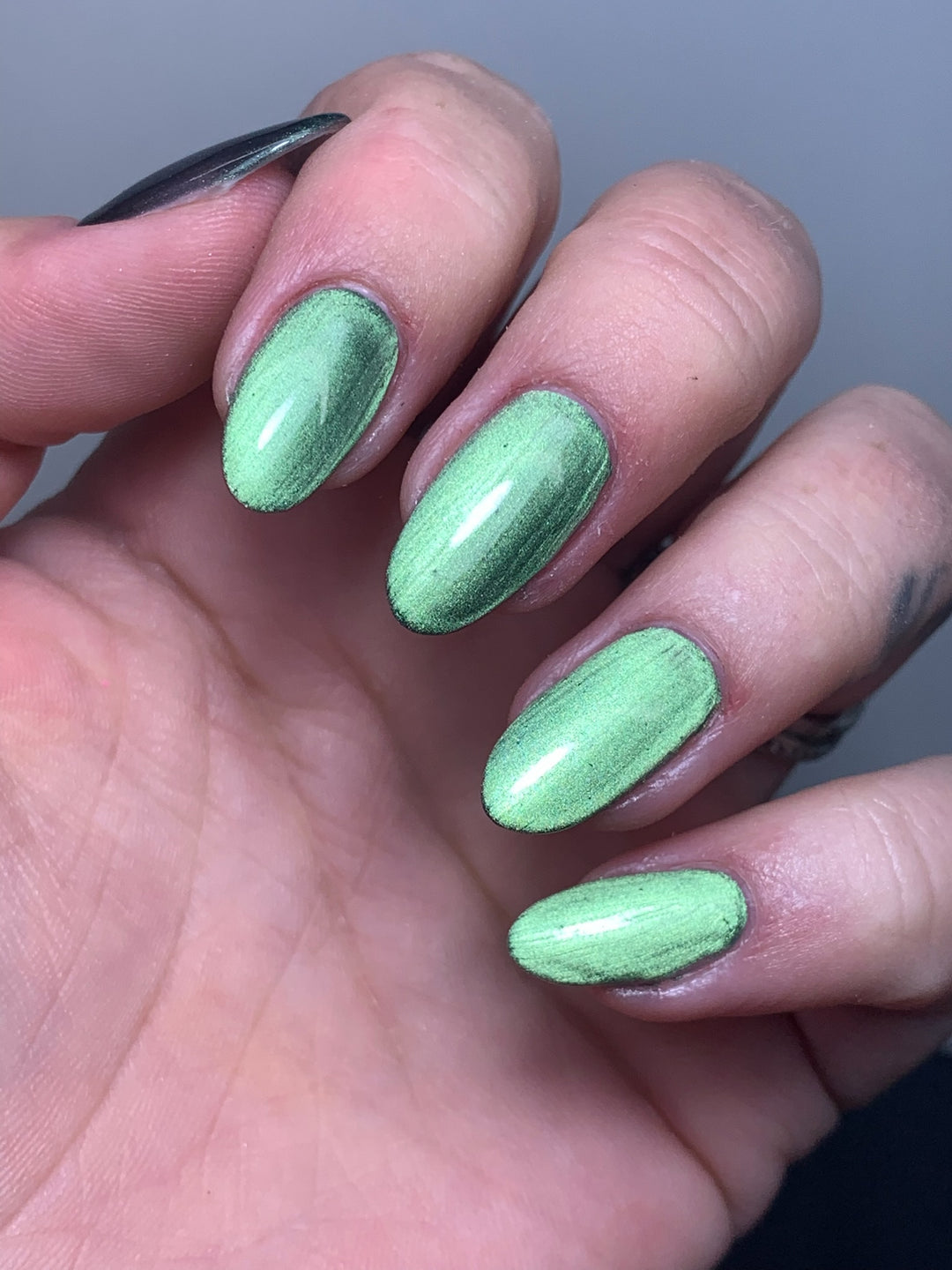 Gemini Cat Eye Powder