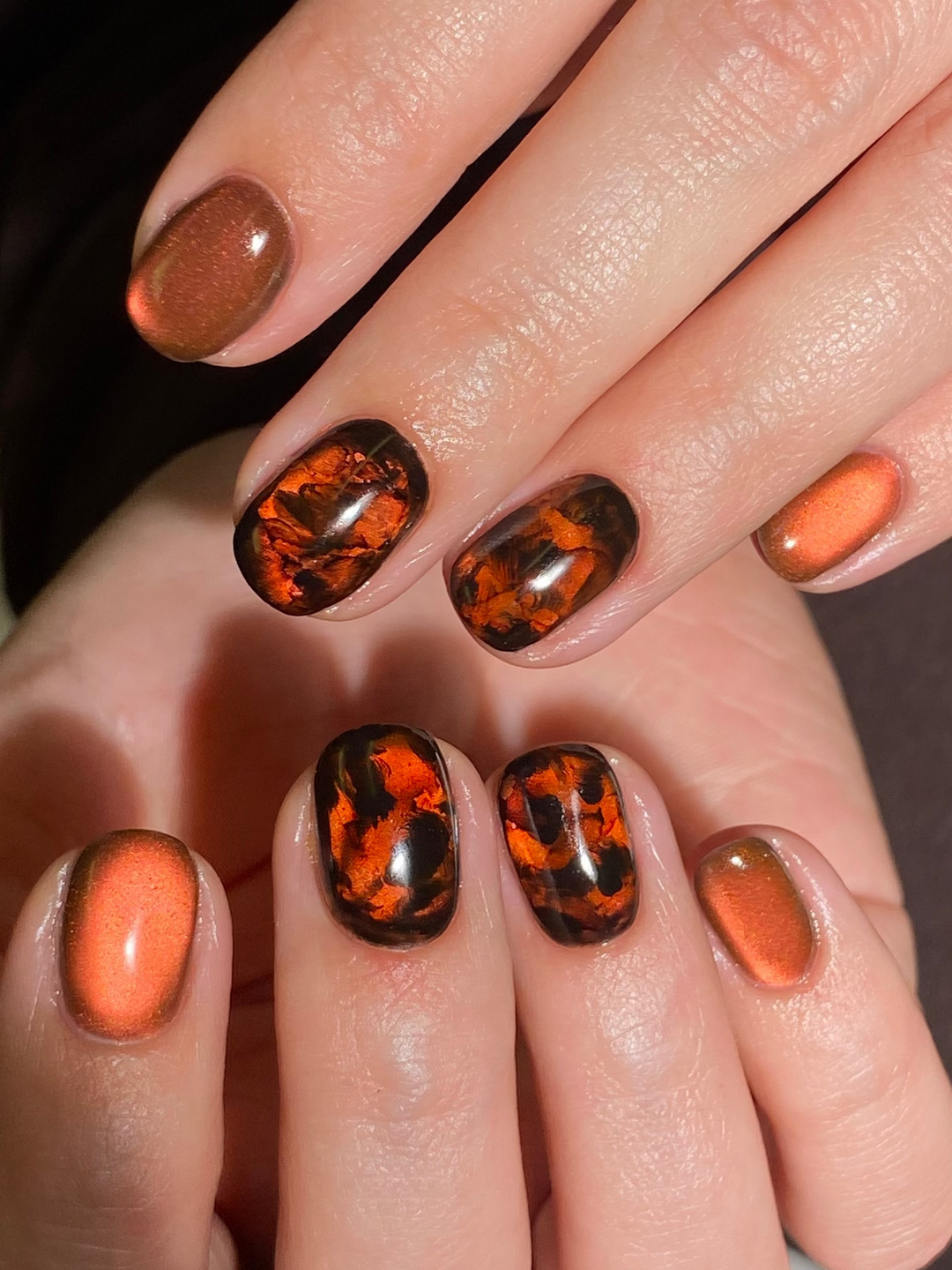 Cat Eye Powder Velvet Collection (16)