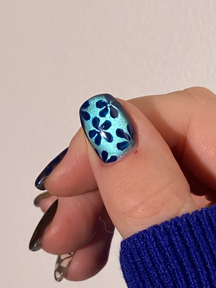 Cat Eye Powder Velvet Collection (16)