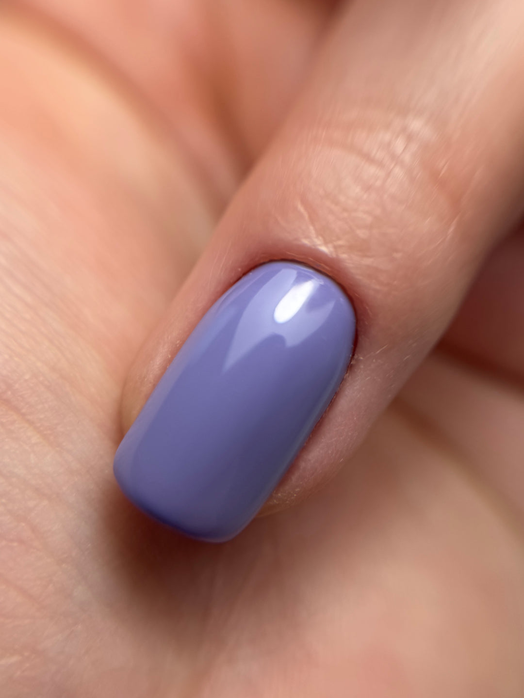 LAVENDER HAZE