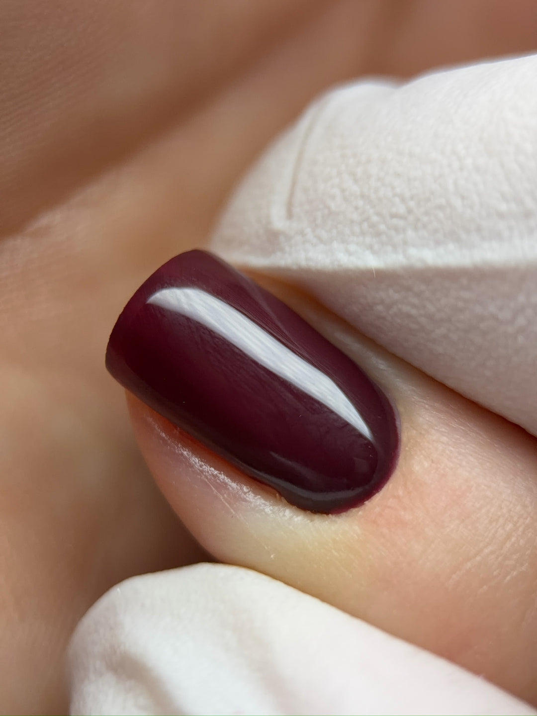 AUTUMN 2026 Colour Collection #2