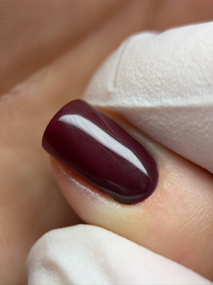 AUTUMN 2026 Colour Collection #2