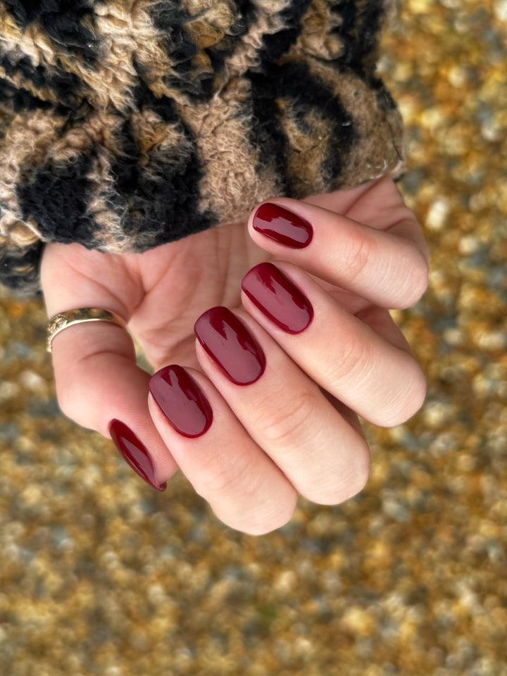 RED COLOUR COLLECTION
