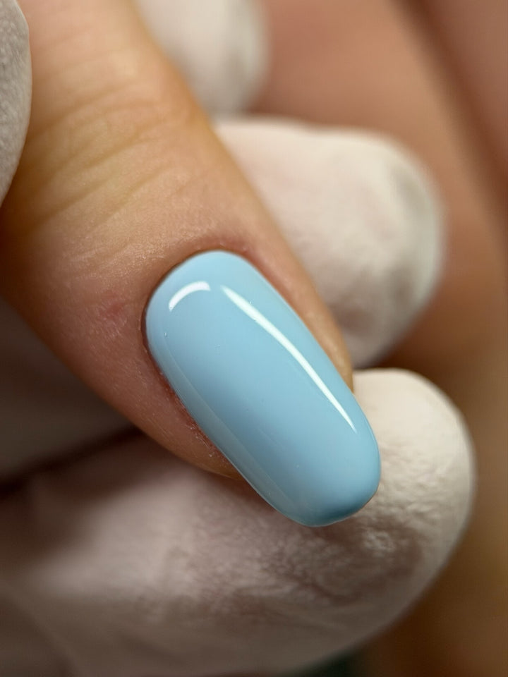 BLUE COLOUR COLLECTION