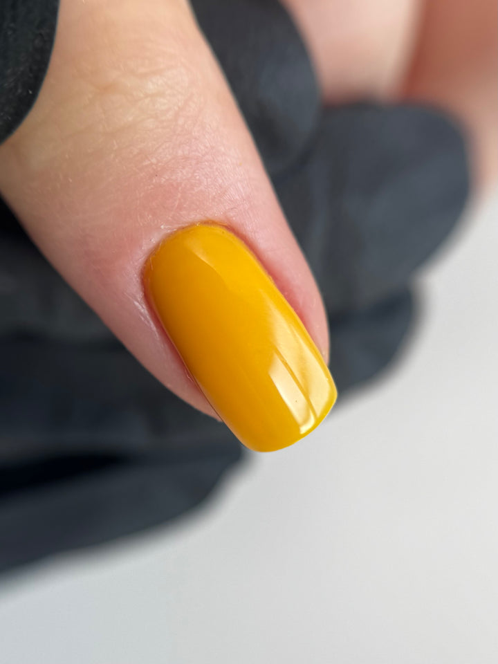 YELLOW & ORANGE COLOUR COLLECTION