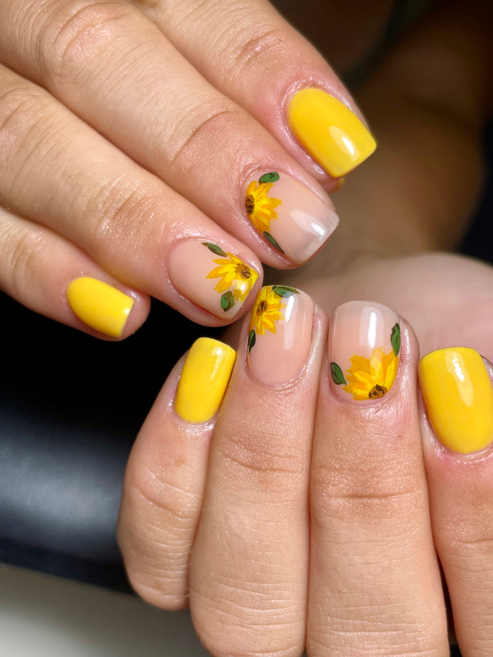 YELLOW BRICK ROAD