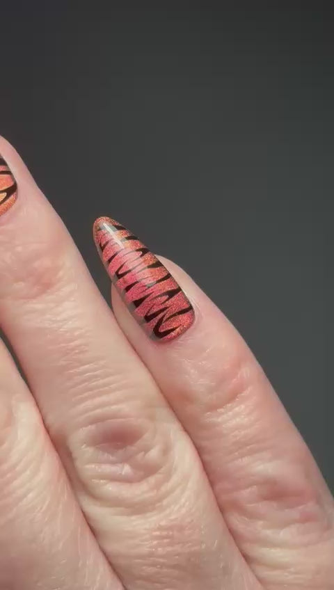 Celestial Cat Eye Powder